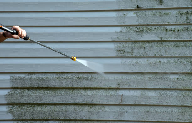 Best Building Exterior Washing  in Monticello, IN