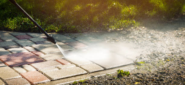 Best Animal Enclosure Cleaning  in Monticello, IN